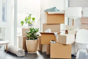 Moving boxes and a potted plant in an empty room, representative of Lumiora's move-in/move-out cleaning (stock photo)