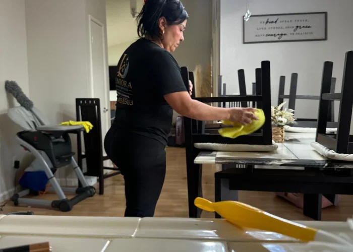 Lumiora team member wiping down dining chairs in a client home