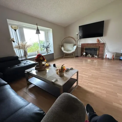Lumiora team member dusting a ceiling fan in a client home
